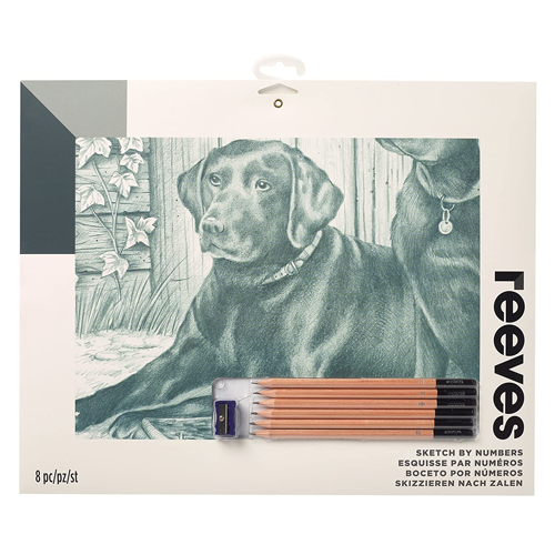  Sketching By Numbers  Large Labrador- ريفيس