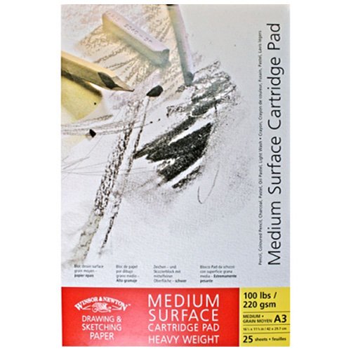 Sketch book Surface Heavy Weight A3 220g 25sh Winsor