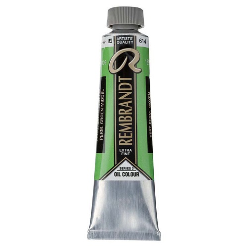 Rembrandt Oil  Paint Permanent Green Medium (614) 40ml تالنس 