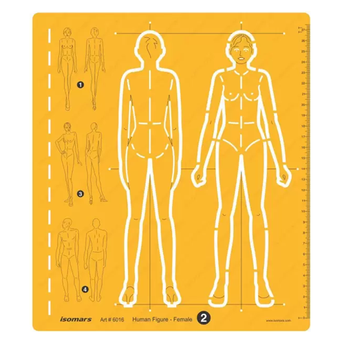 Human Figure Template 6016